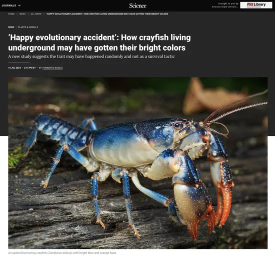 Happy evolutionary accident: How crayfish living underground may have gotten their bright colors