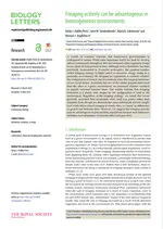 Foraging actively can be advantageous in heterogeneous environments